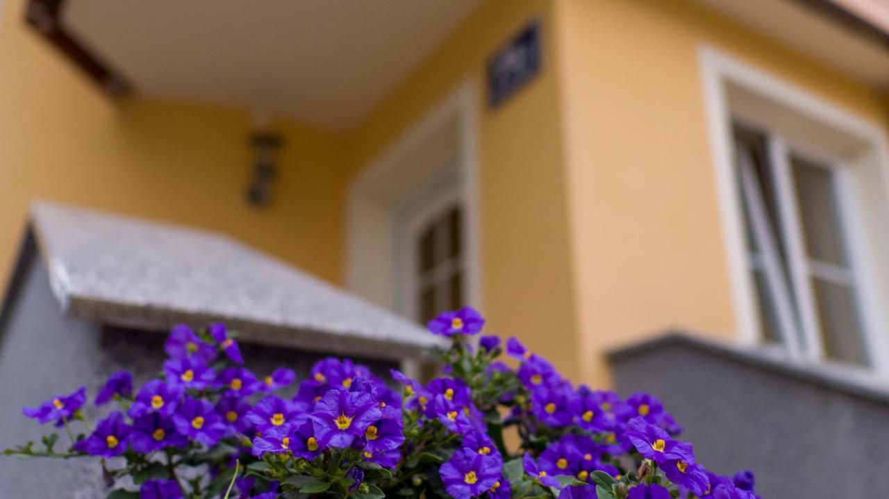 Ferienwohnung Claudia Salzburg Dış mekan fotoğraf
