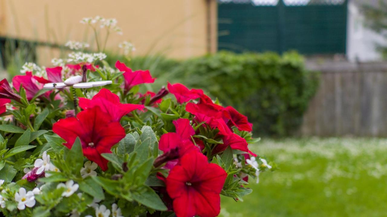 Ferienwohnung Claudia Salzburg Dış mekan fotoğraf